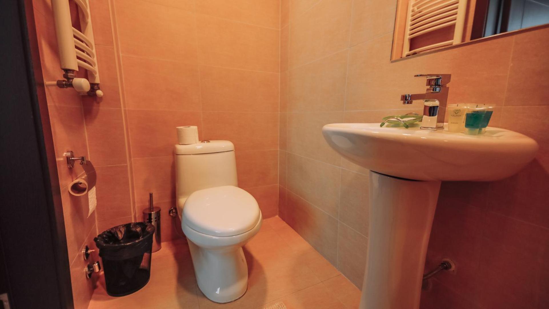 Crystal Cottage, Bakuriani Ngoại thất bức ảnh